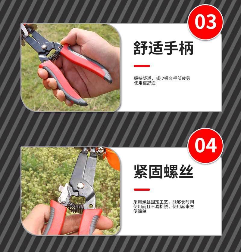 未标题-1_08.jpg