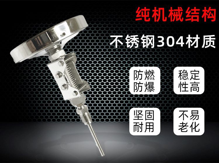 WSS双金属温度计8