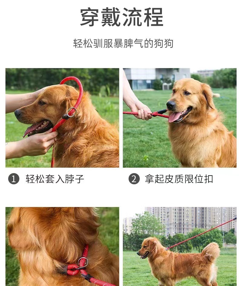 a6271eb6-8177-4a88-9f37-d0ffb0a3b041.jpe