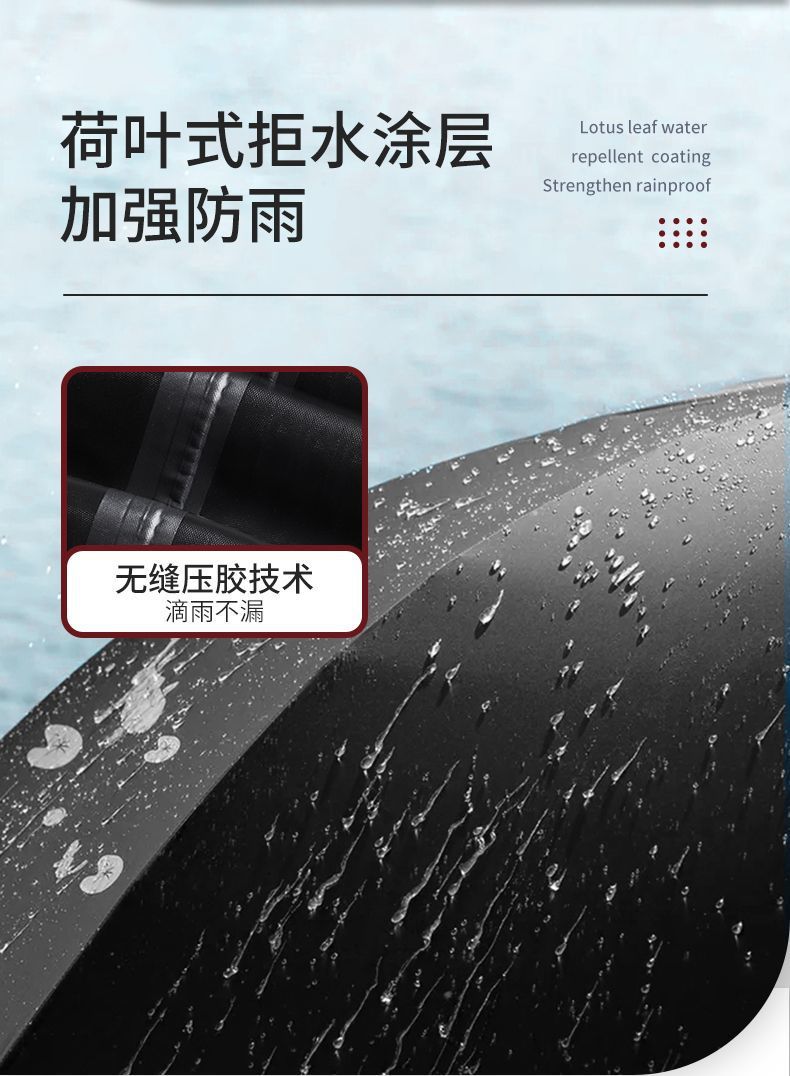 f6780c8a-514e-4da4-bde3-ae1f608f8324.jpe
