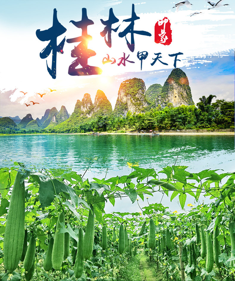 丝瓜络断硬瓜详情页_03.jpg