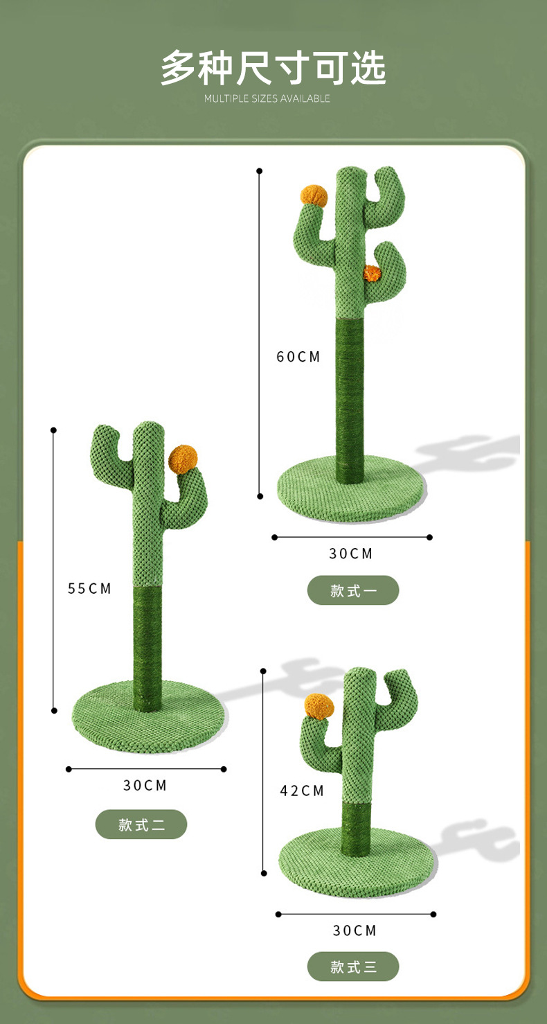 仙人掌_06.jpg