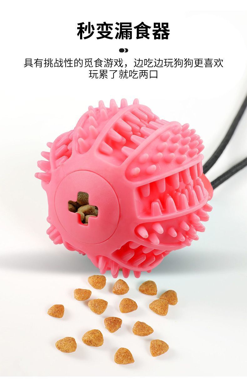 b436867c-a62e-40de-8e70-f76ef71d4e67.jpe