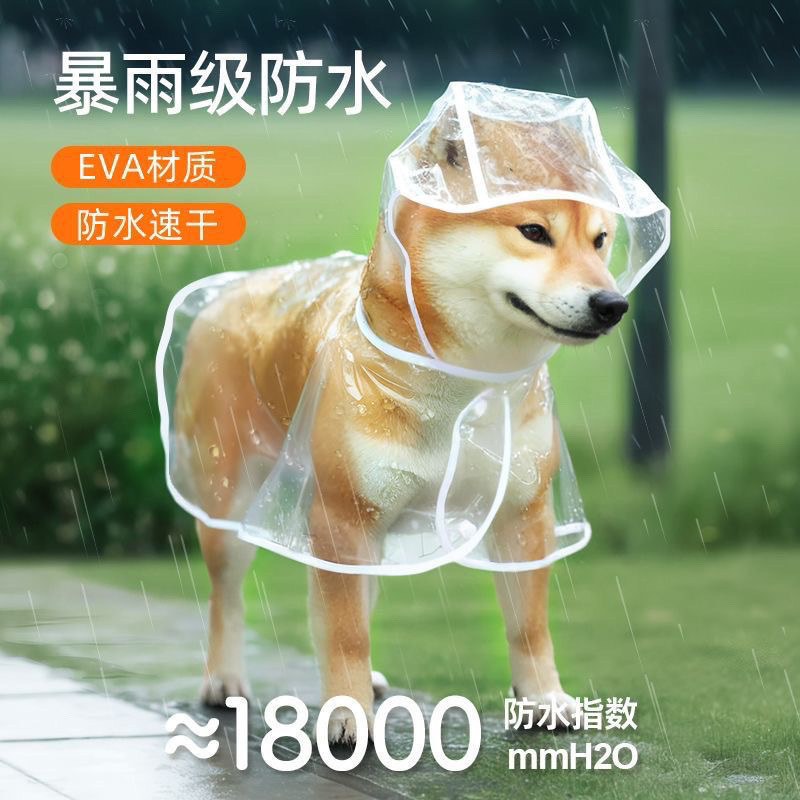 e57bda68-2cc3-4b14-b3c7-45dd3961befc.jpe