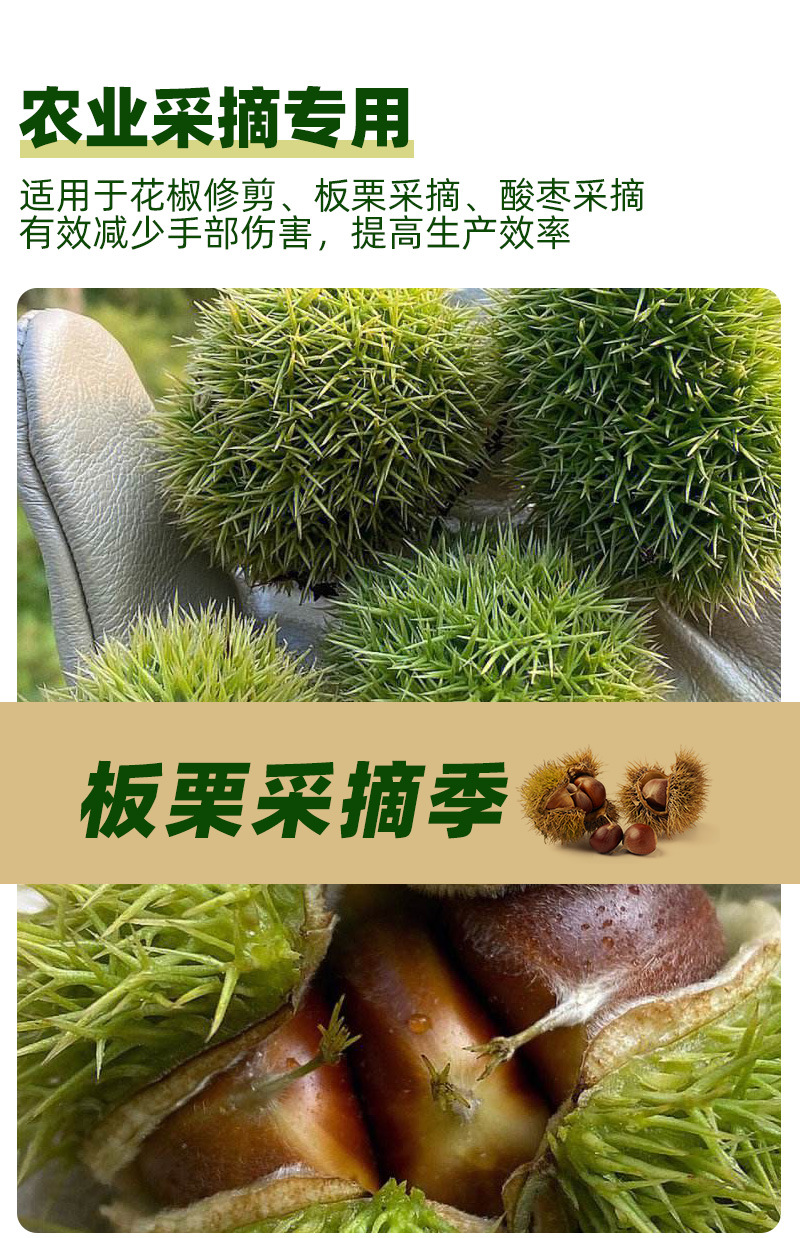 园林_04.jpg