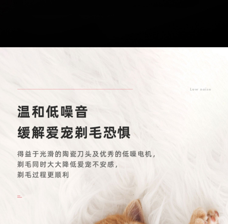 f16a2e1f-142d-4672-b9cf-de7debf87faa.jpe