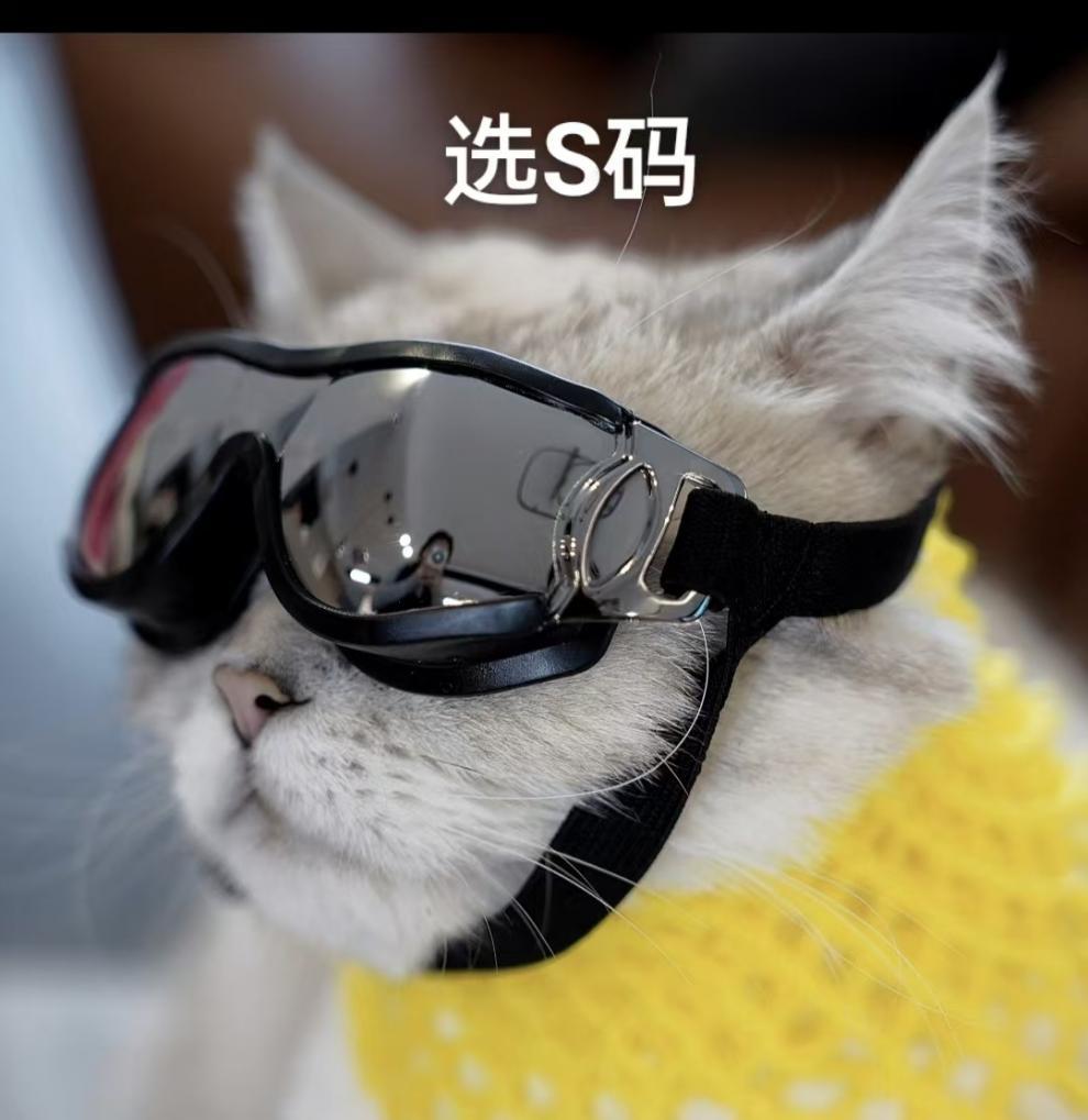 7d4cb1aa-5f5c-4cfd-a657-672990de1f58.jpe