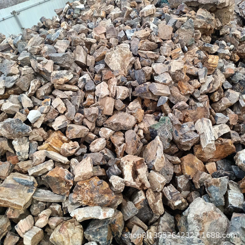IMG20201118155333.jpg