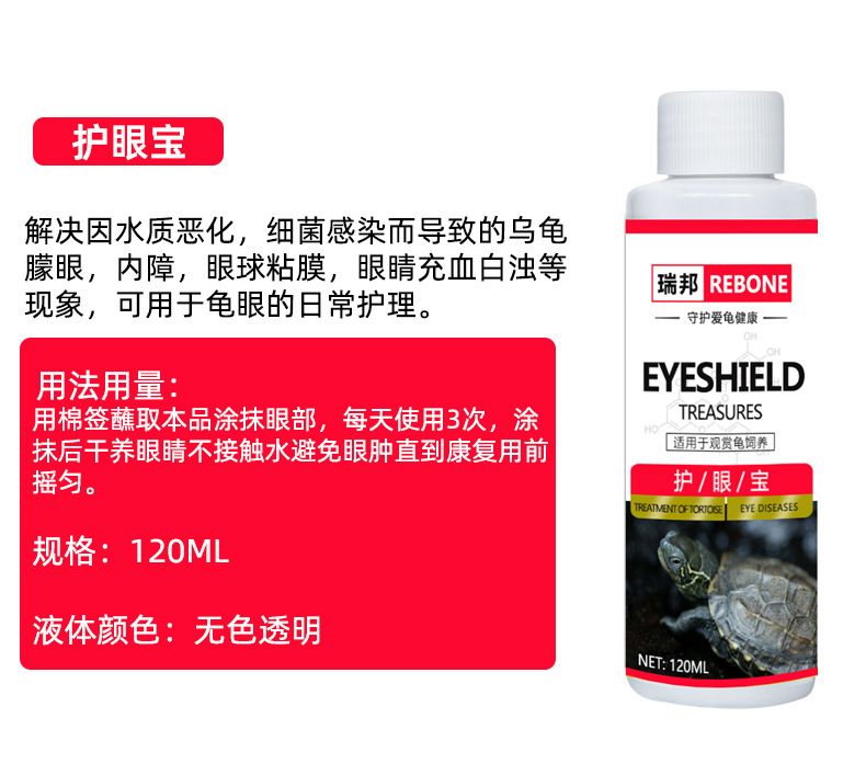 乌龟详情-恢复的_08.jpg
