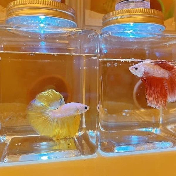 20782f6a-9cca-4536-9d40-0411d5d1dc5b.jpe