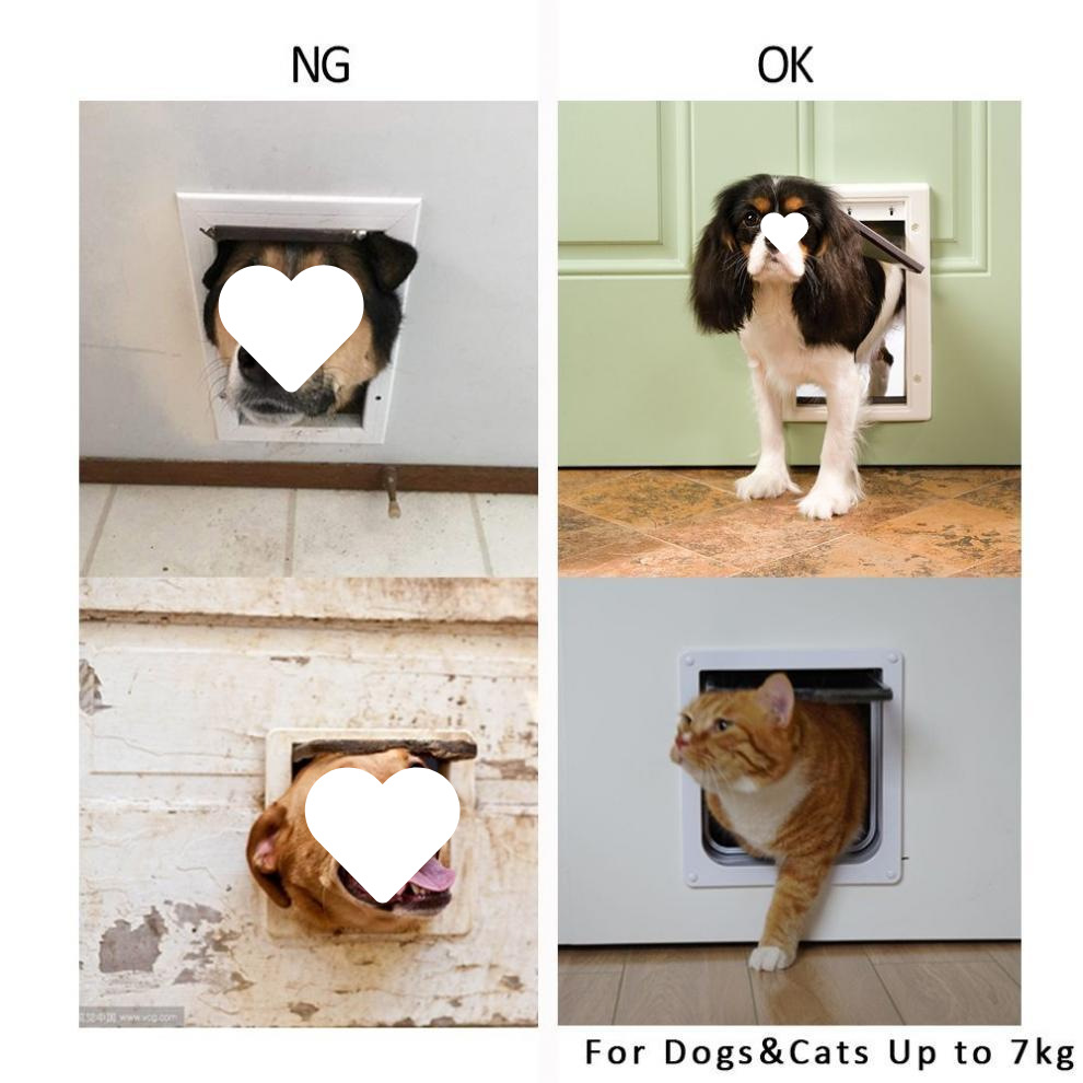 21eb0b6b-6ea9-4c90-8861-ceb6ecd1f6c1.jpg?x-oss-process=image/format,png