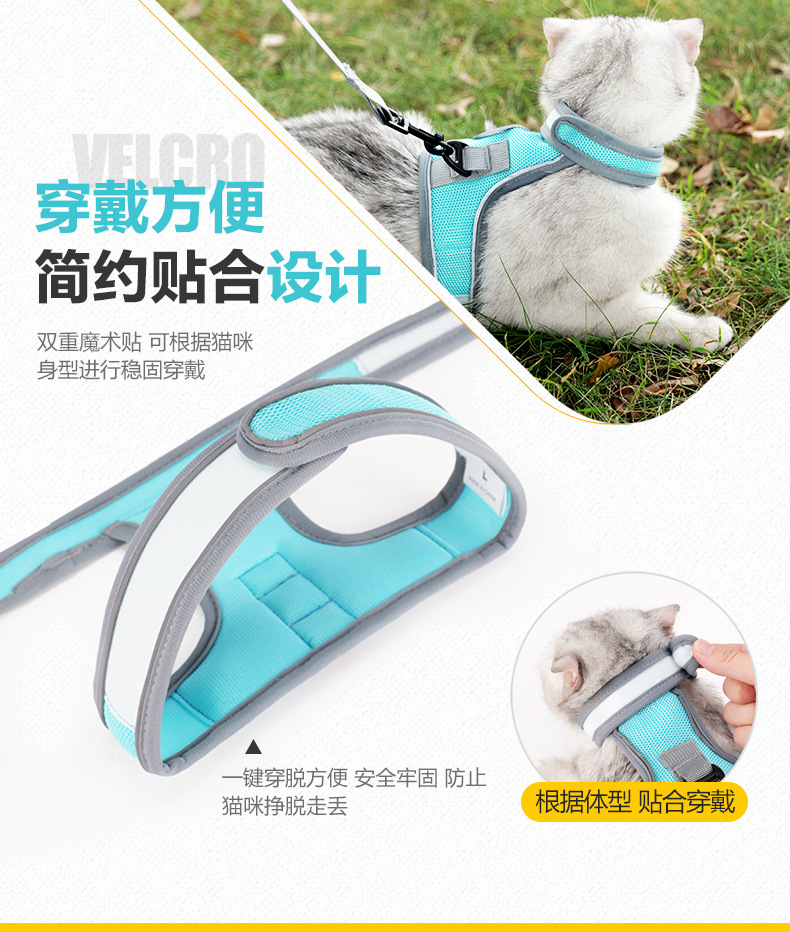 K型猫背带_03.jpg