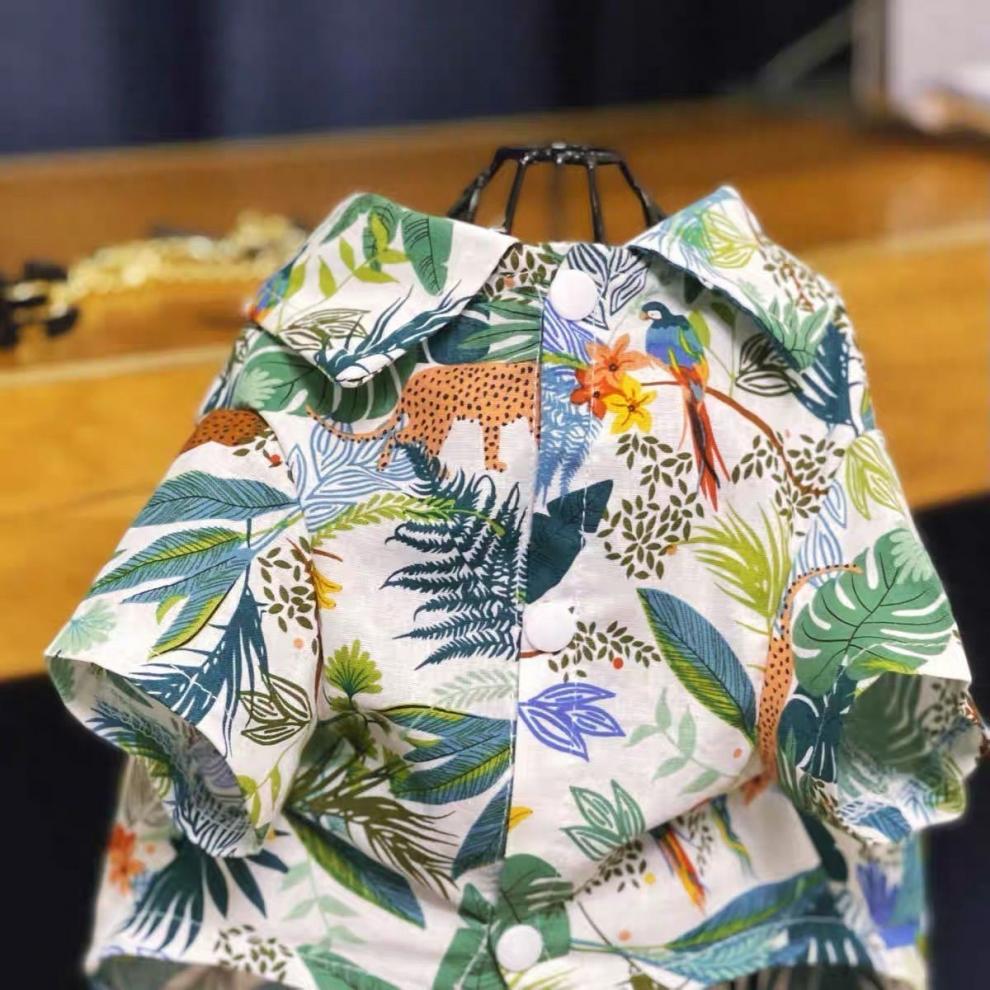 91841621-94ba-4089-85da-0f875ffdab58.jpe