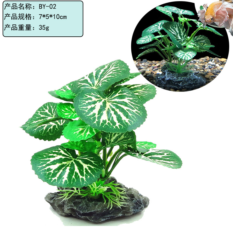 未标题-2