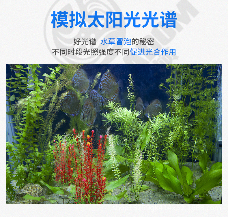 水草灯_06.jpg