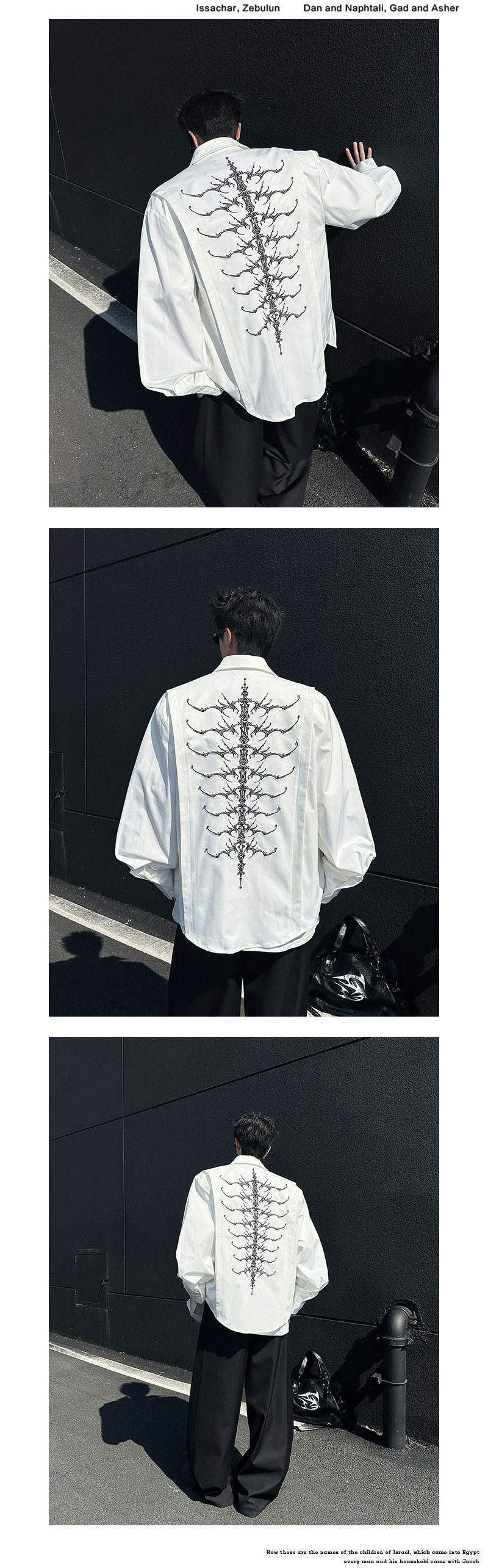 F6WYaZZ73d.jpg_800xA.jpg?x-oss-process=image/format,png