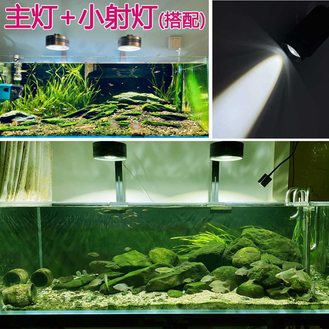 搭配宝副本.jpg