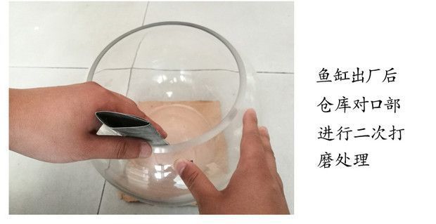 03a9aab9-1c7b-406f-a564-f2e3e0101899.jpe