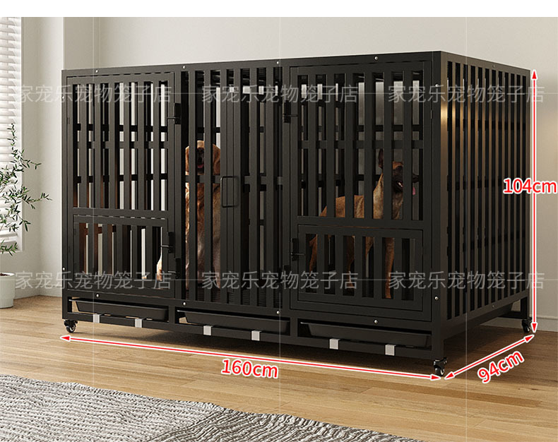 4269ef60-38ac-48cc-870a-8cd1efd8161e.jpe