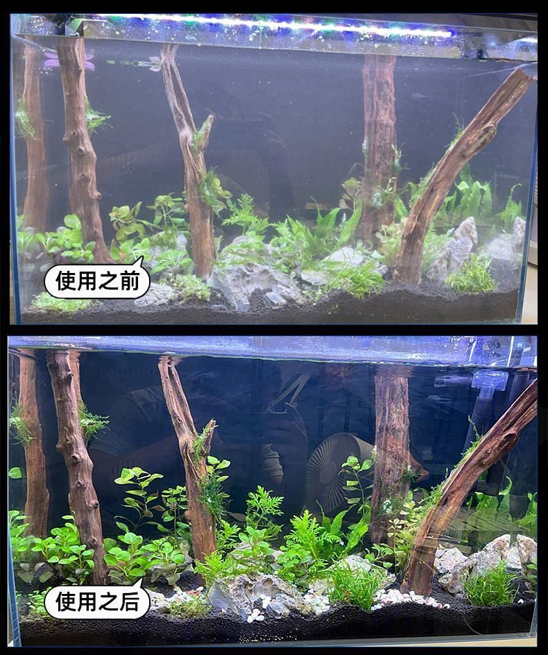 a9cd4909-c4b2-43d2-8648-15813988871b.jpe