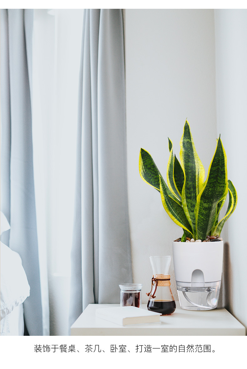 AS高透明系列_24