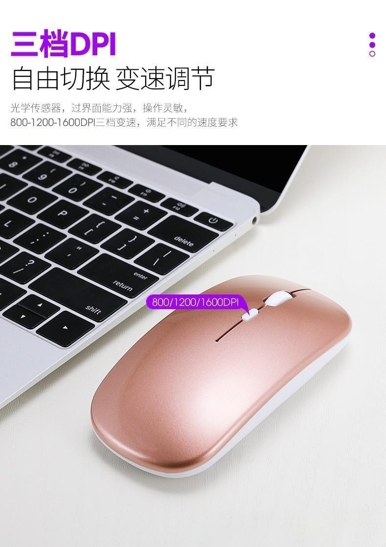 d9a9869e-7a14-4686-bfbb-709246a036b7.jpe