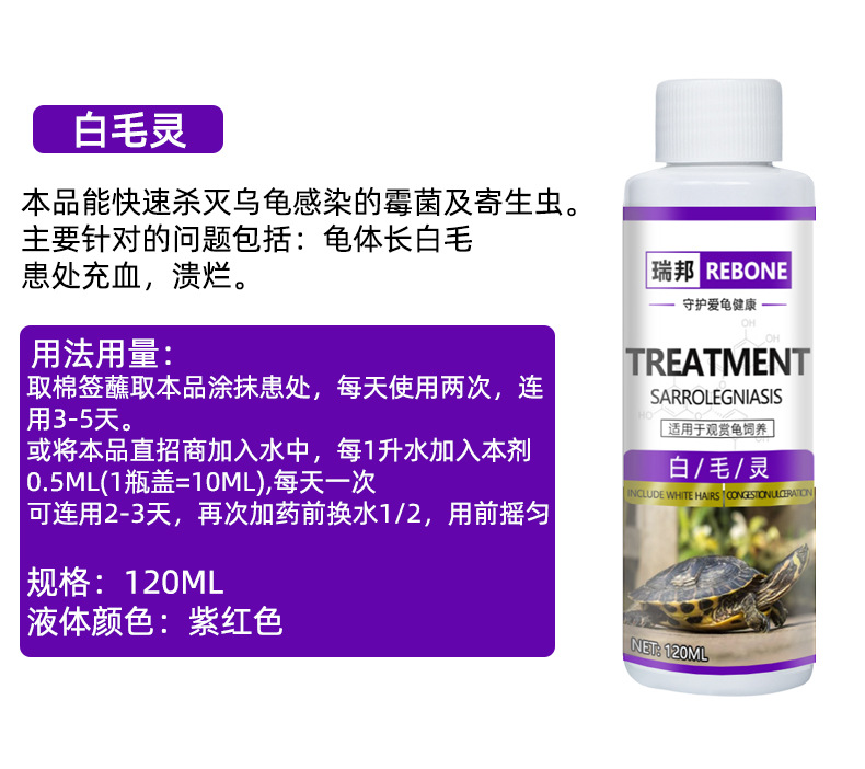 乌龟详情-恢复的_10.jpg