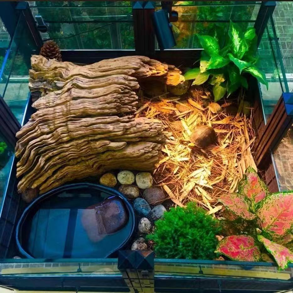 20244a23-2db0-4216-b7a0-6160799a0b73.jpe