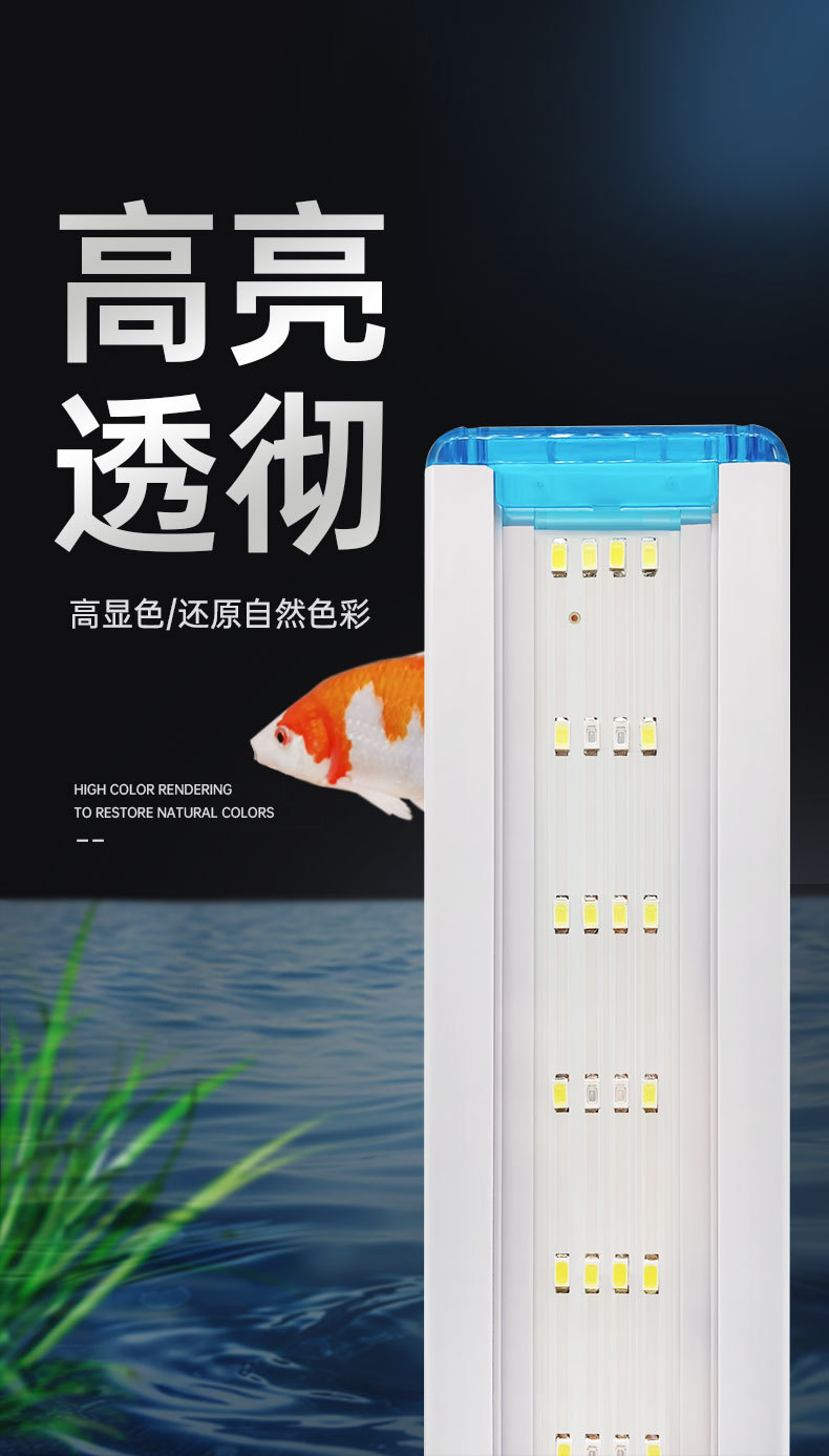 LEDdeng_01.jpg