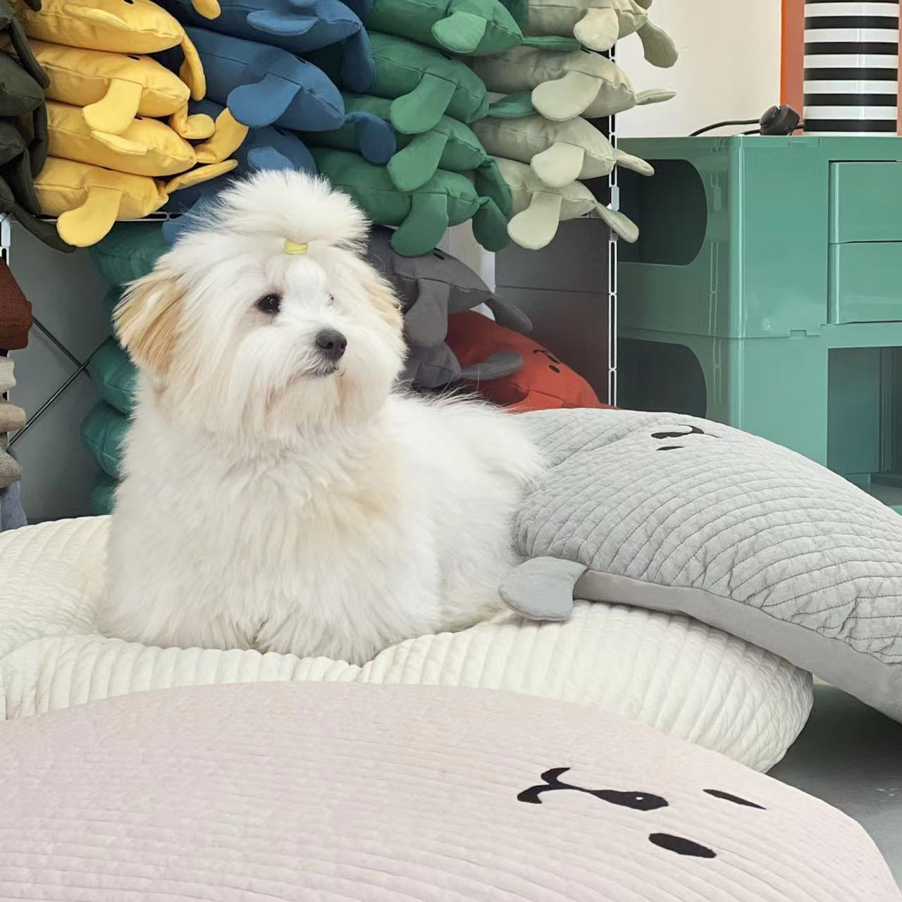 微信图片_20220610144652