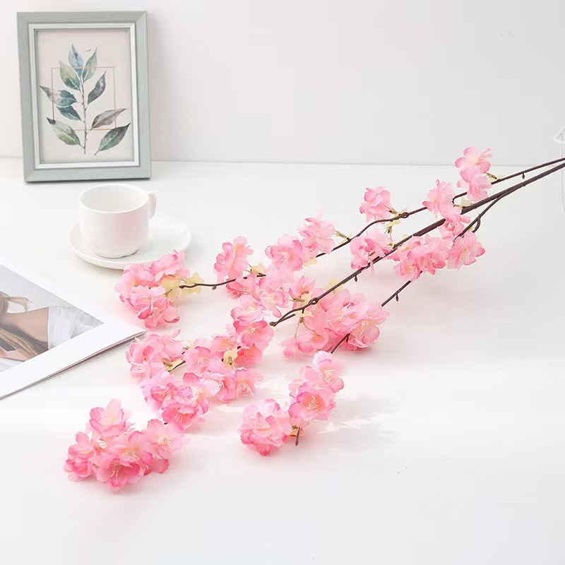 微信图片_20240527080809