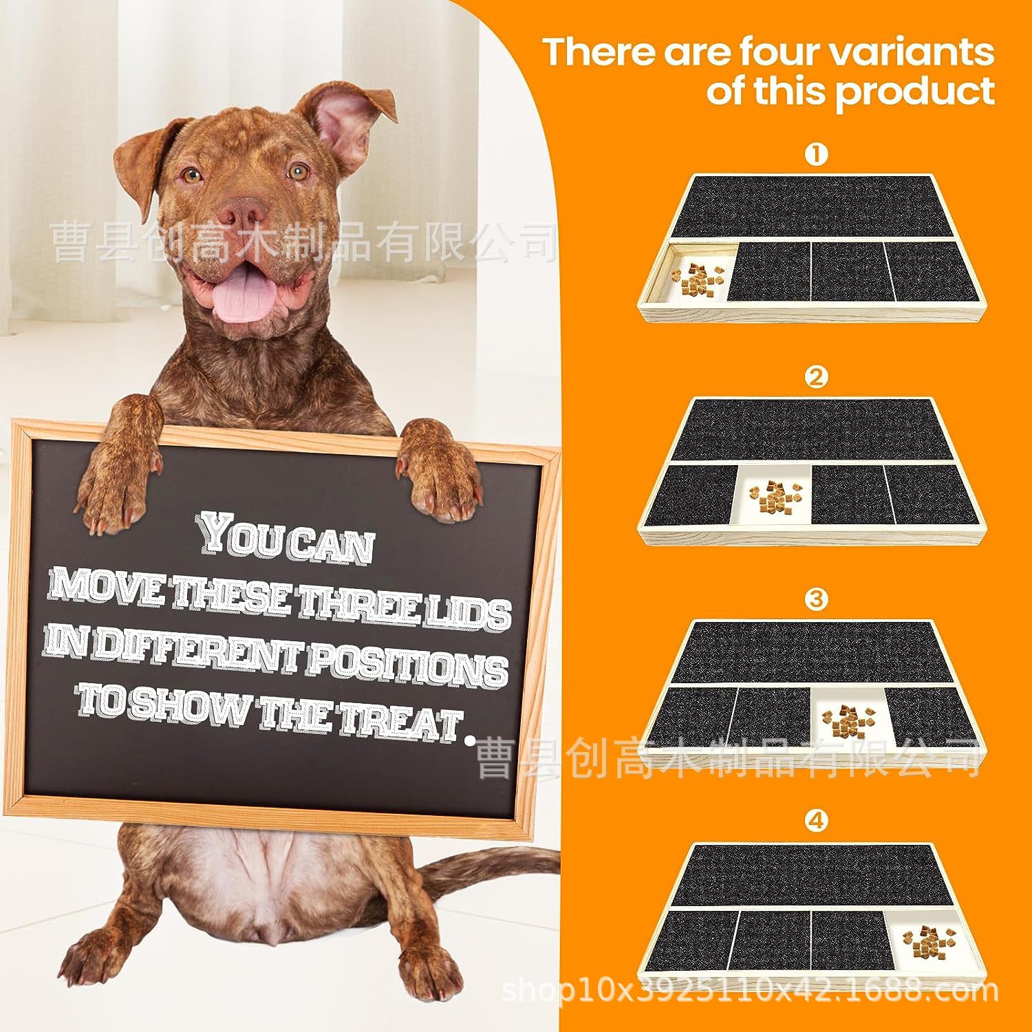 81aTKf-574L._AC_SL1500_