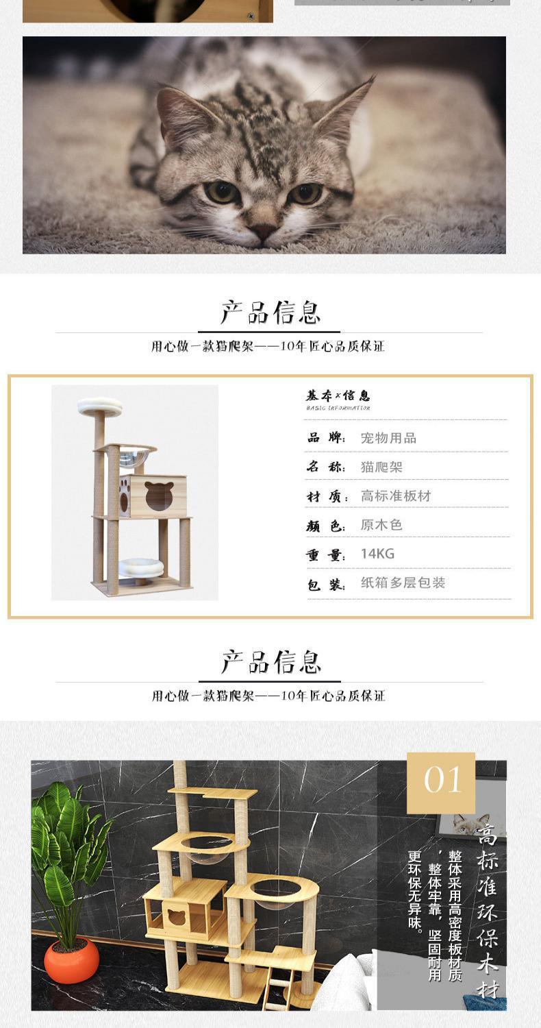 db4b0101-5b2b-4a9f-80b3-0261870b0ad5.jpe