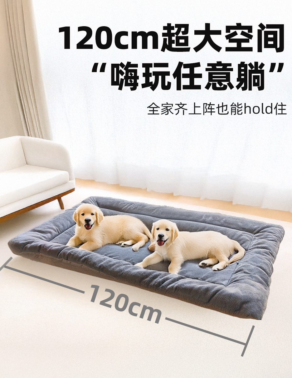 082f8e4c-26bb-4d17-89b4-e62dcbbf4cc7.jpe