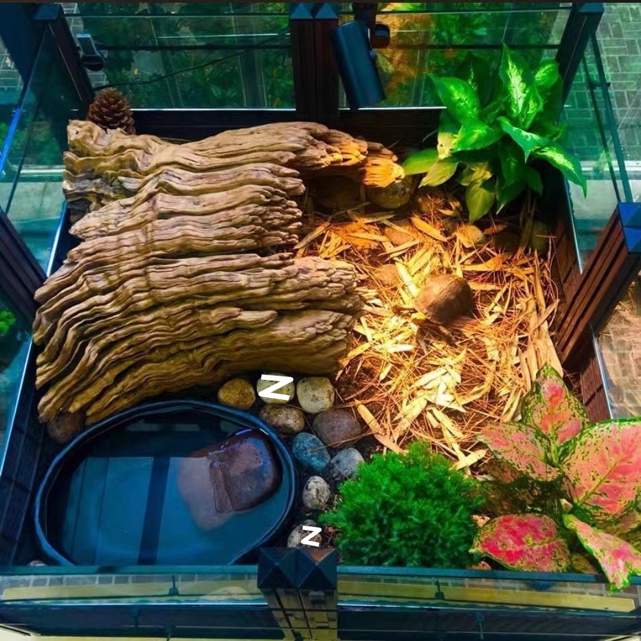 24a359d0-3802-42e9-af0a-a89bd3ab6112.jpe