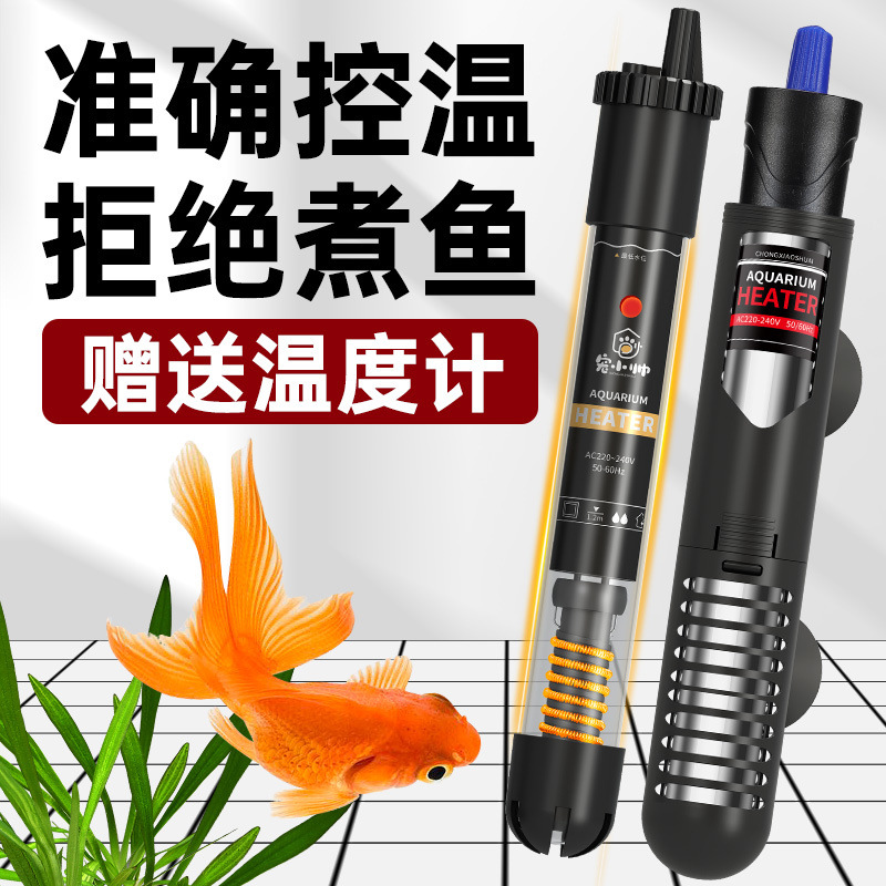 3b129834-201a-4da6-a6c1-6f1e2380a00f.jpe