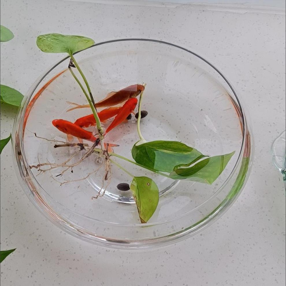 69022e2d-a561-47b8-9bc1-635952618168.jpe