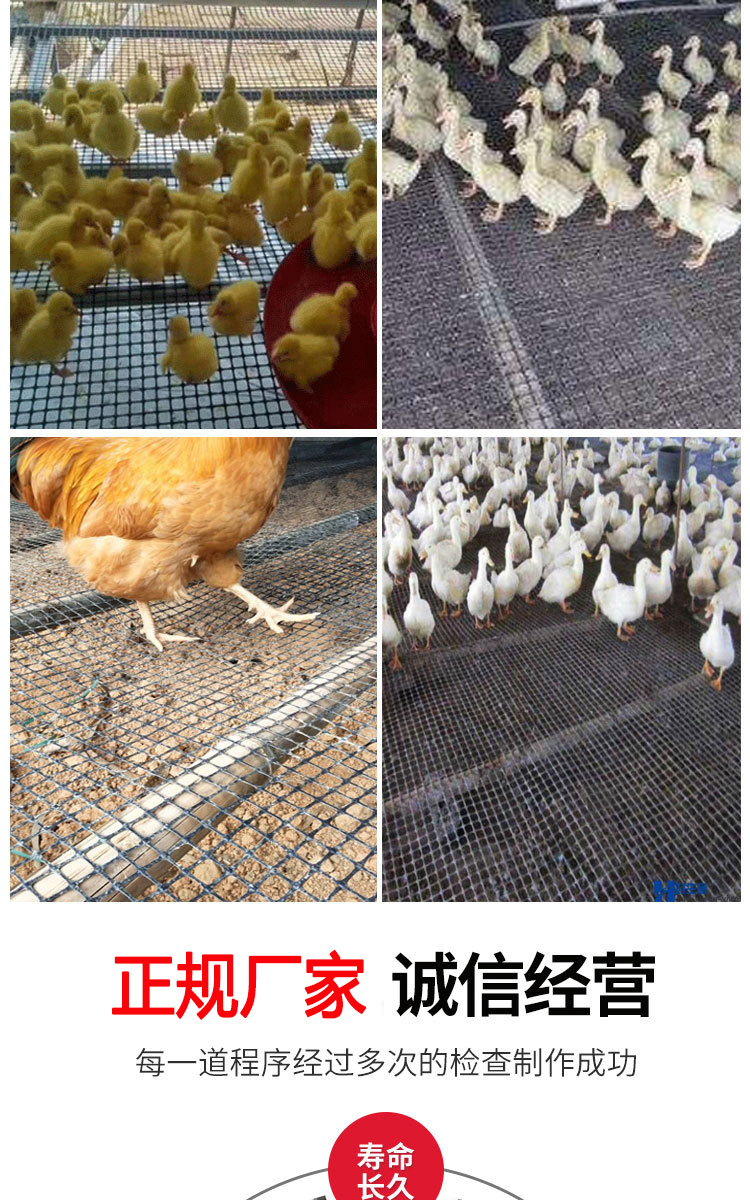 O1CN01FgOOT32JSPbsjBs0x_!!2209