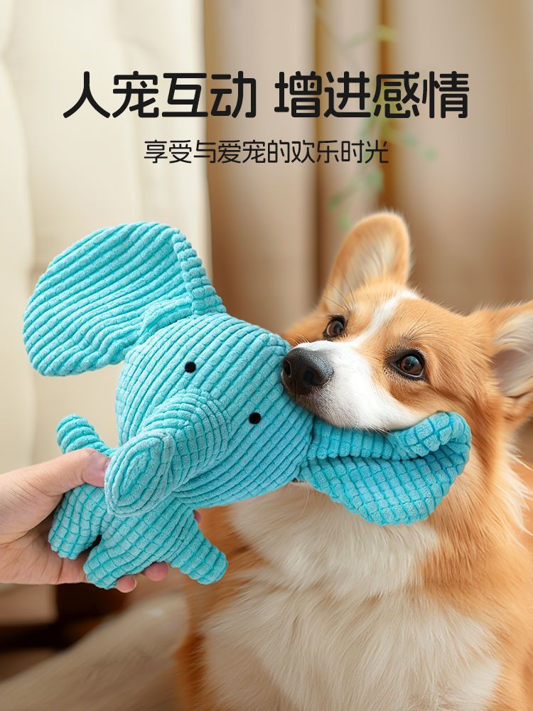 fed76386-bcbc-427b-869c-d2e92c423d7a.jpe