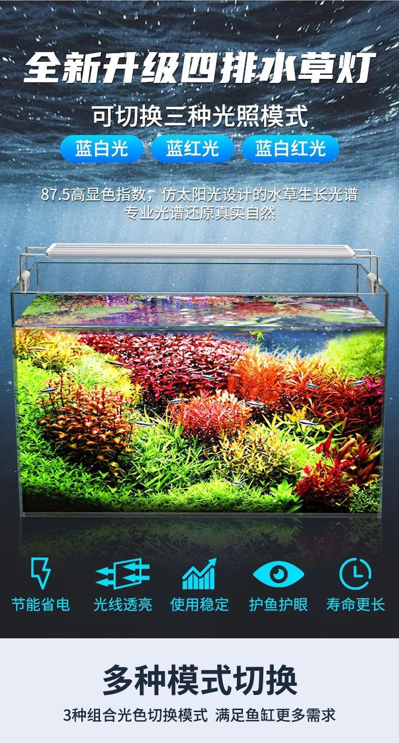 749cba1b-729e-4a94-ba7f-ab014d57822f.jpe