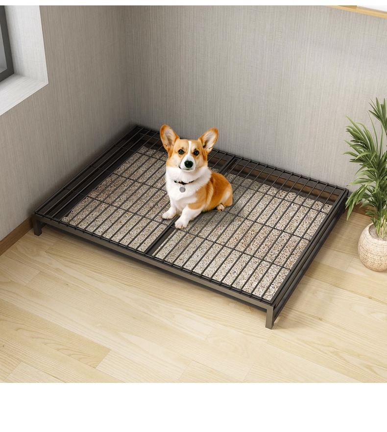 55d4001a-c699-4630-8c4f-da930d8f7b3b.jpe