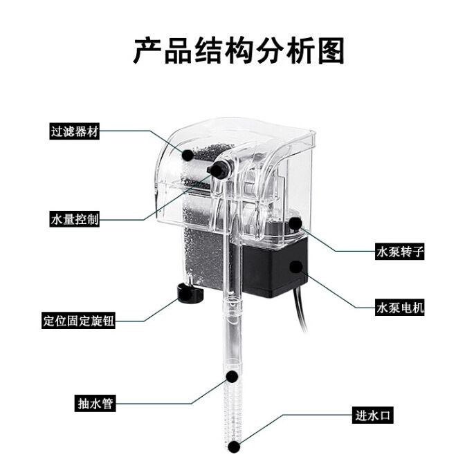 3980751845_1543822411