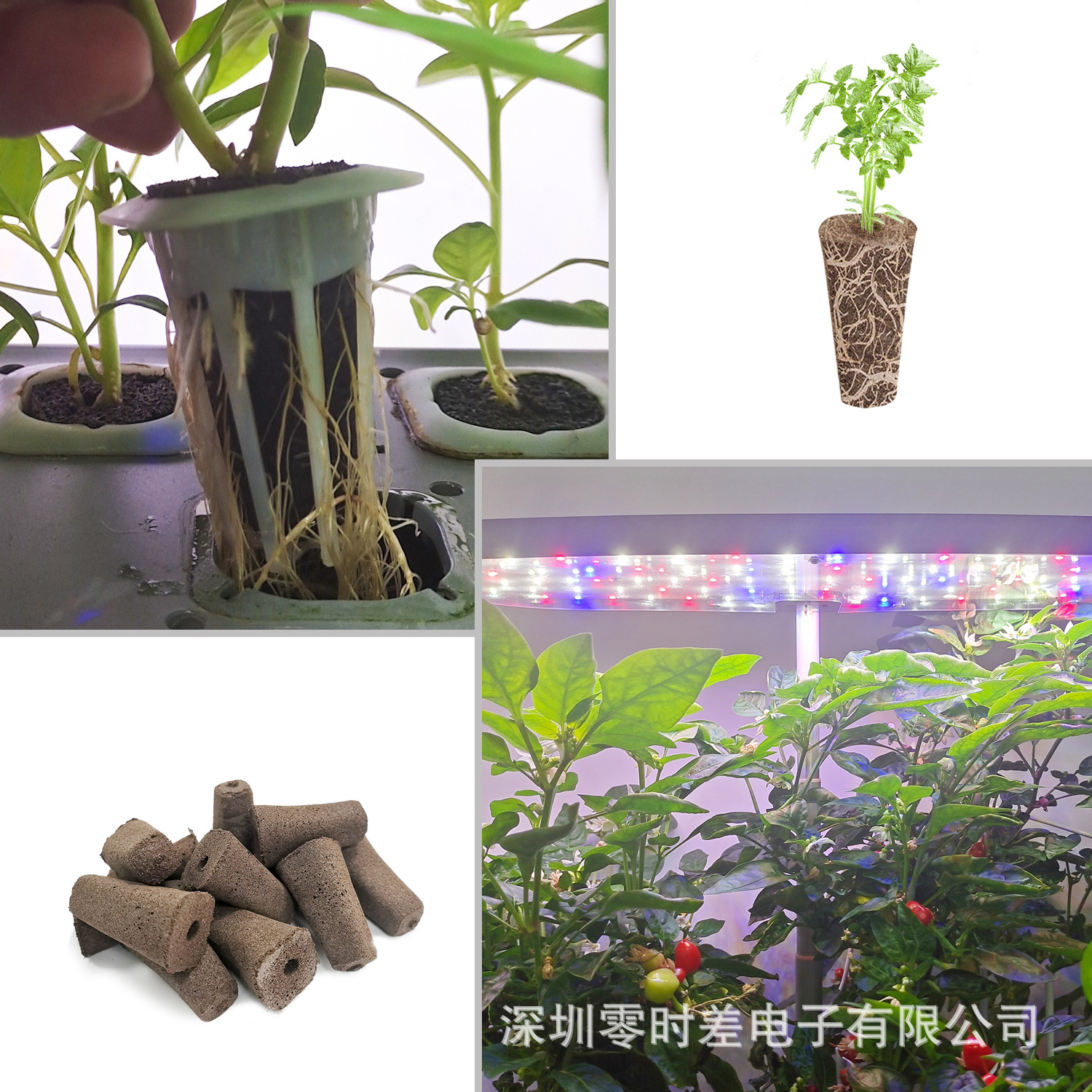 IGS方形种植棉