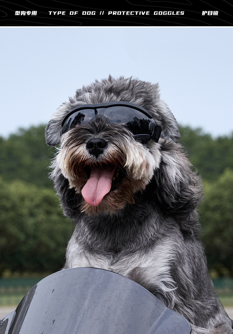 9821c4ff-bc18-4f48-954f-85a0b6089af0.jpe