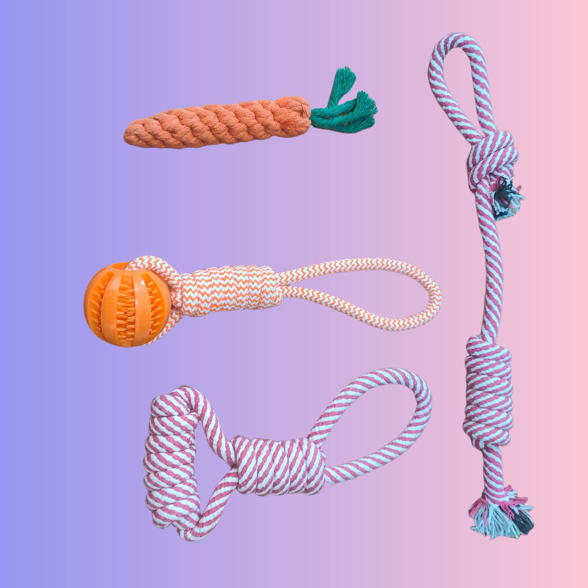 微信图片_20240424160222