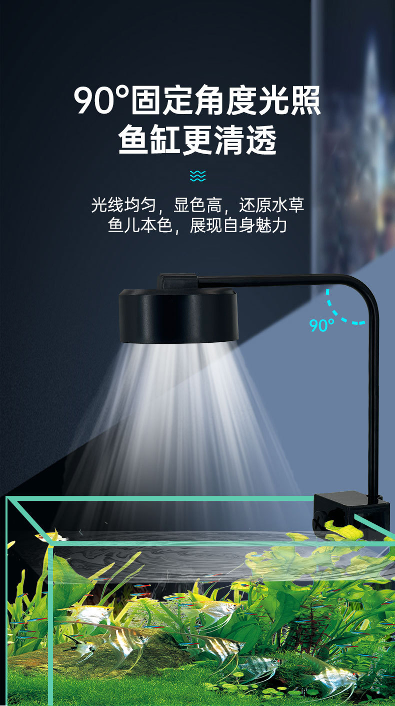 水草灯详情_04.jpg