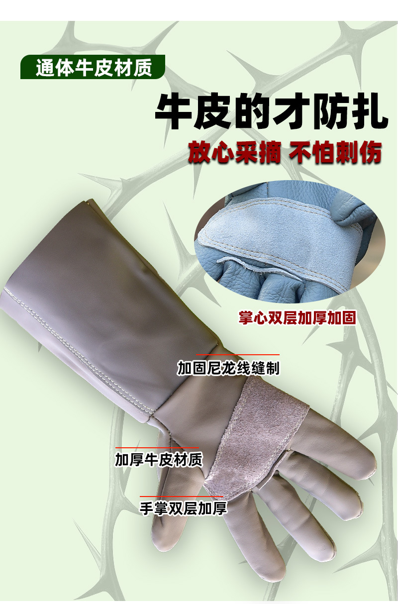 园林_02.jpg