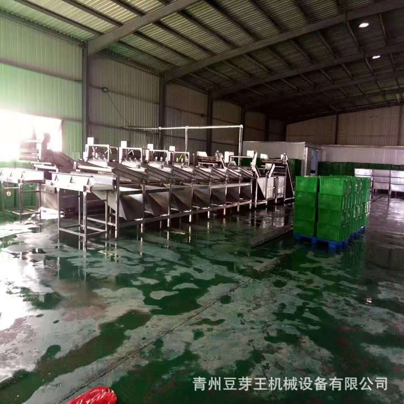 绿豆芽清洗机