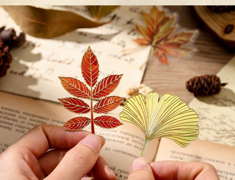 4bfdd4cf-7d94-468a-b933-217468be2869.jpe