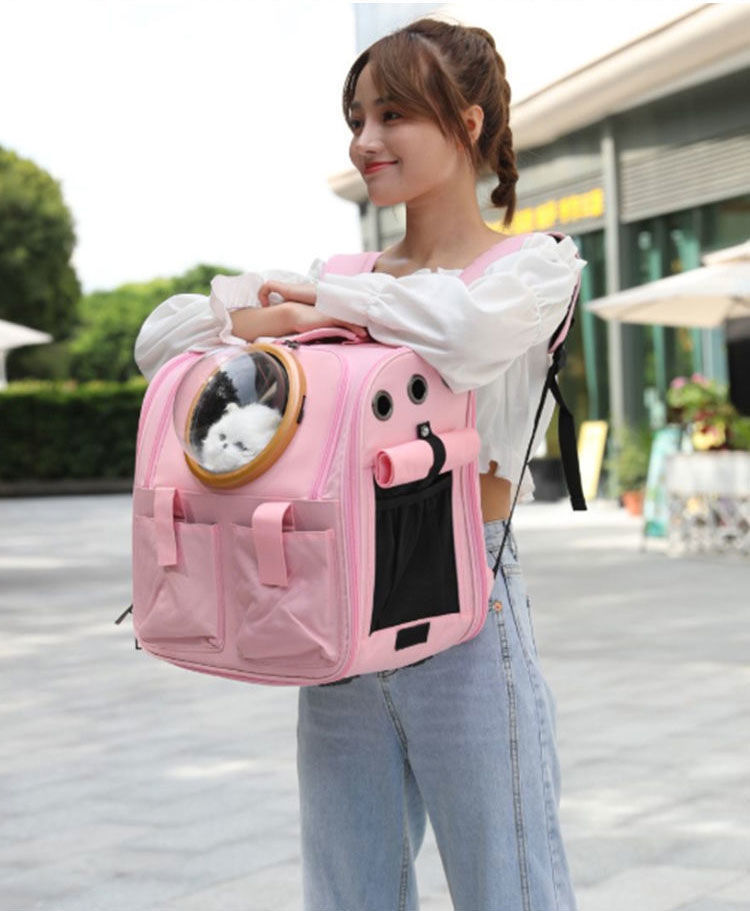 2e040b76-33af-446e-9879-5aba9a8ad75f.jpe